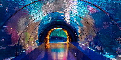 Antalya & Aquarium