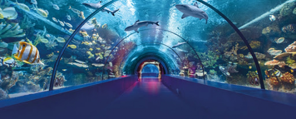 Antalya & Aquarium